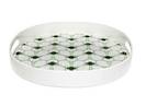 Orla Kiely Wallflower Tray